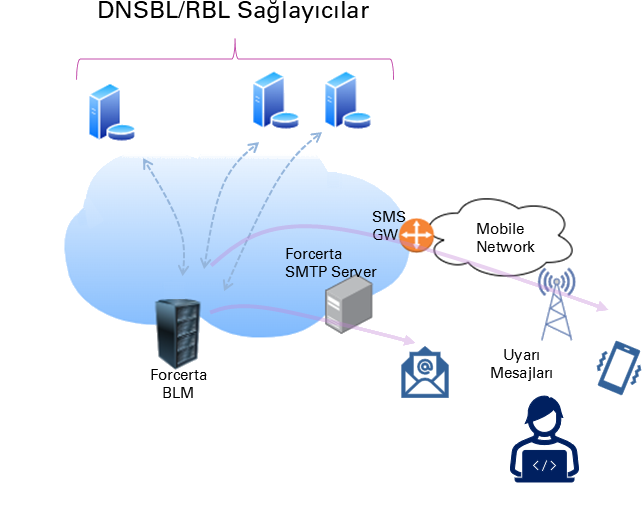 Forcerta BLM nasil calisir